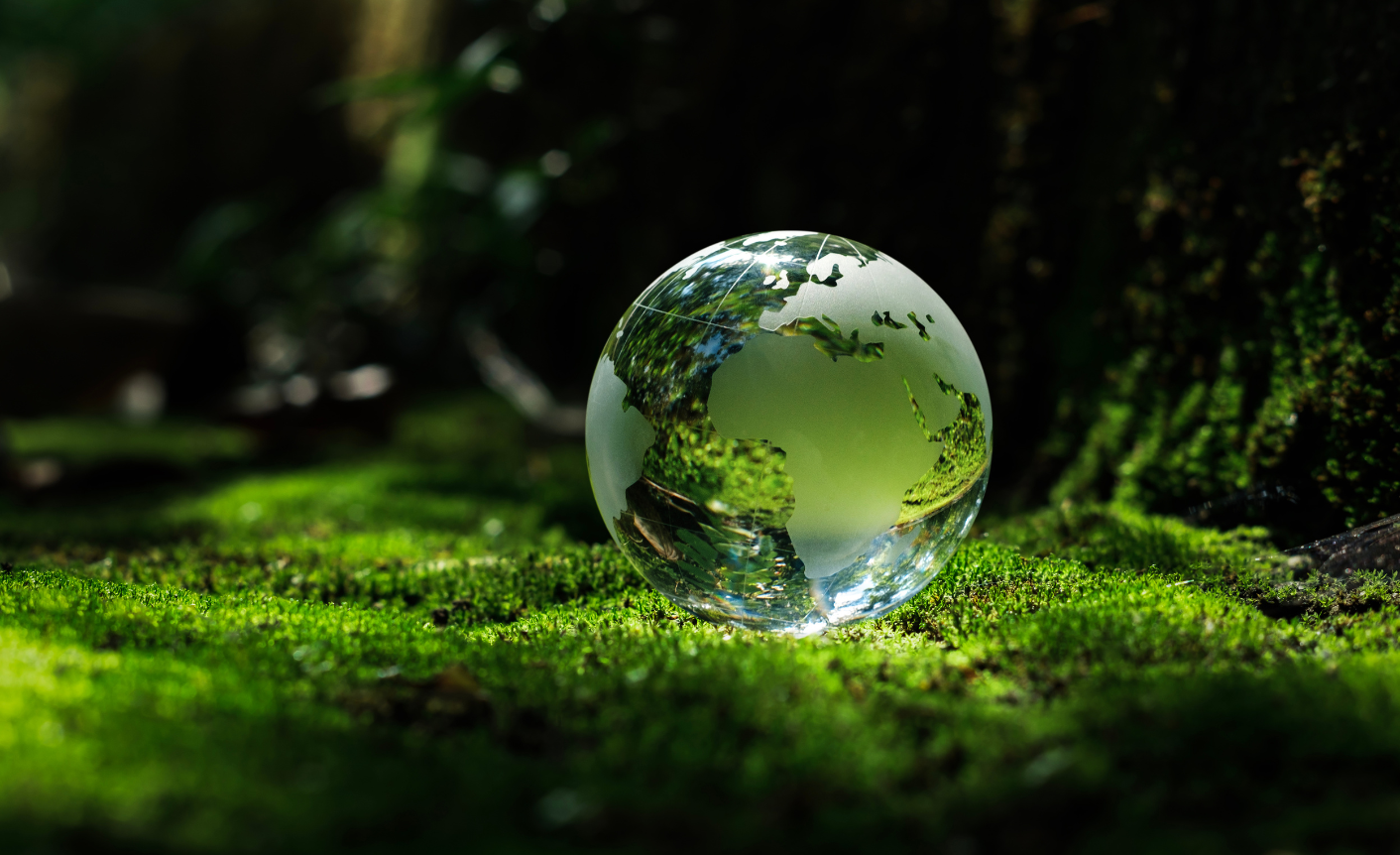 On a mossy, green background a glass globe sits in the foreground to represent enterprise translation.