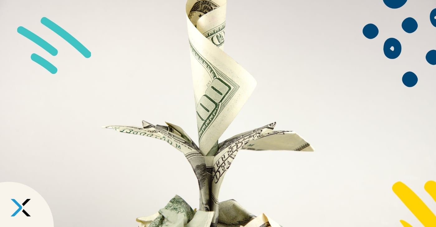 Business Case Terminology Blog A money plant symbolizes the positive effect of terminology management for your business.