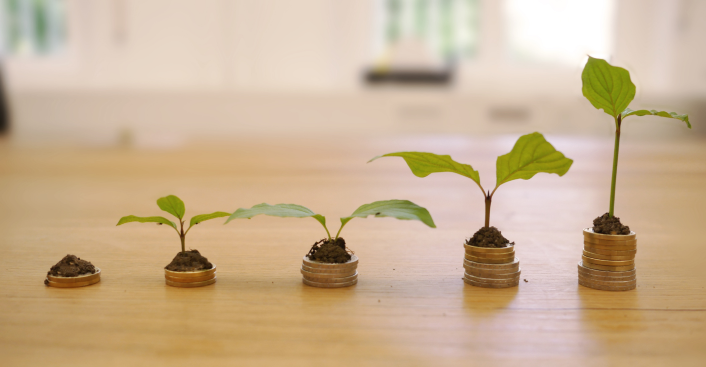 The image shows five piles of coins getting larger as they move to the right. There is a little plant on top of the piles that also grow larger as the piles of coins do. This symbolizes the cost of content and how it can grow if governed well.