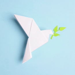 Can’t We All Just Get Along? How to Make Subjects and Verbs Agree