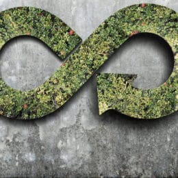Infinity symbol made of green foliage on a textured concrete wall background.