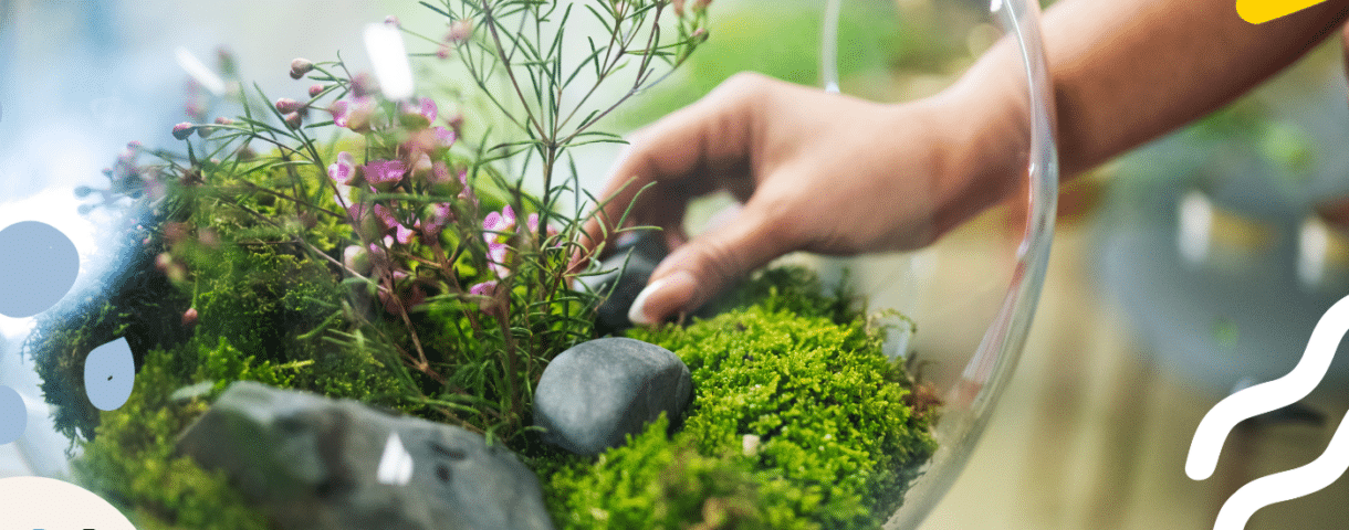 A hand reaching into a terrarium representing an ecosystem for a blog talking about content ecosystems